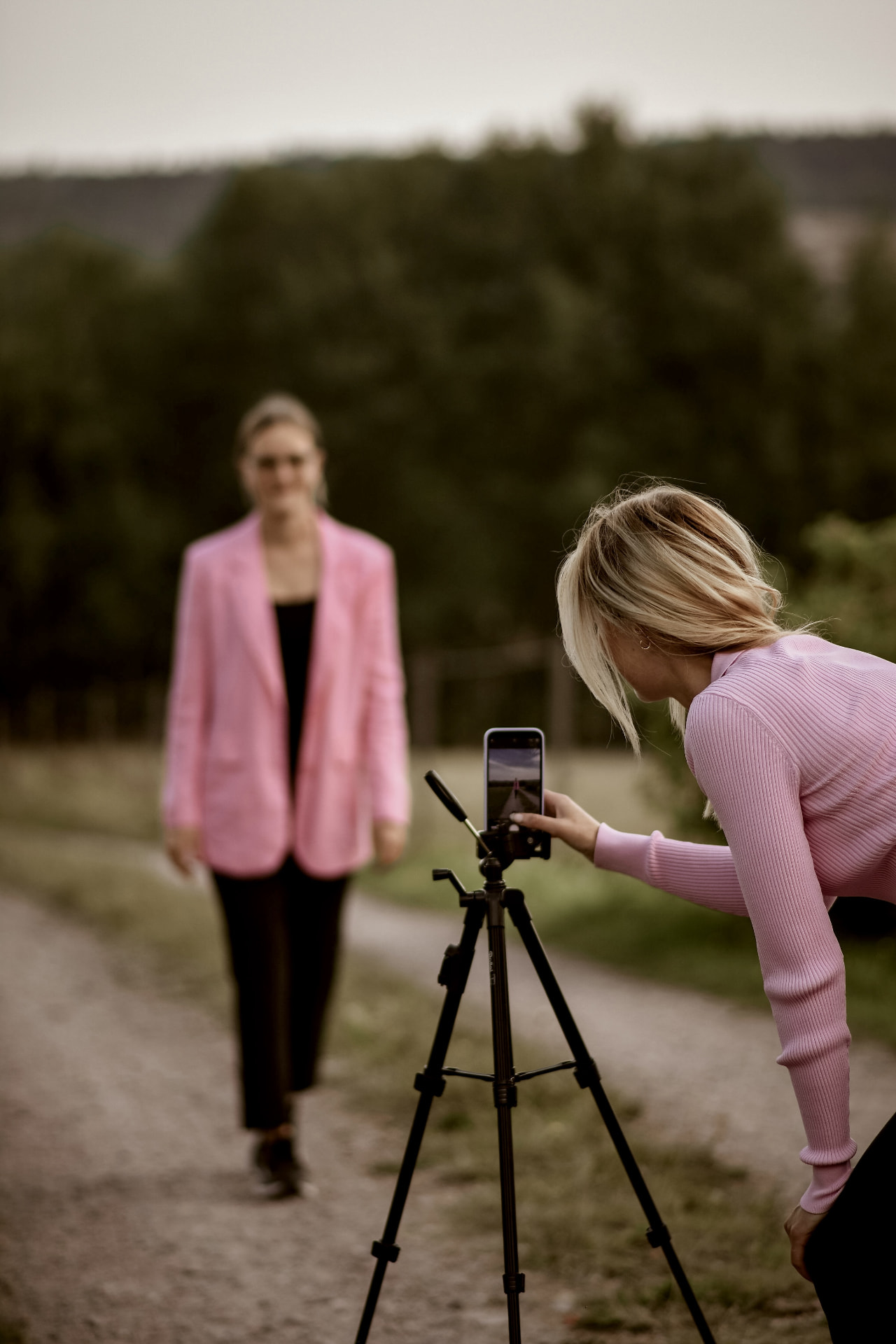 Häst i rörelse, konstnärligt oskarpt redaktionellt foto